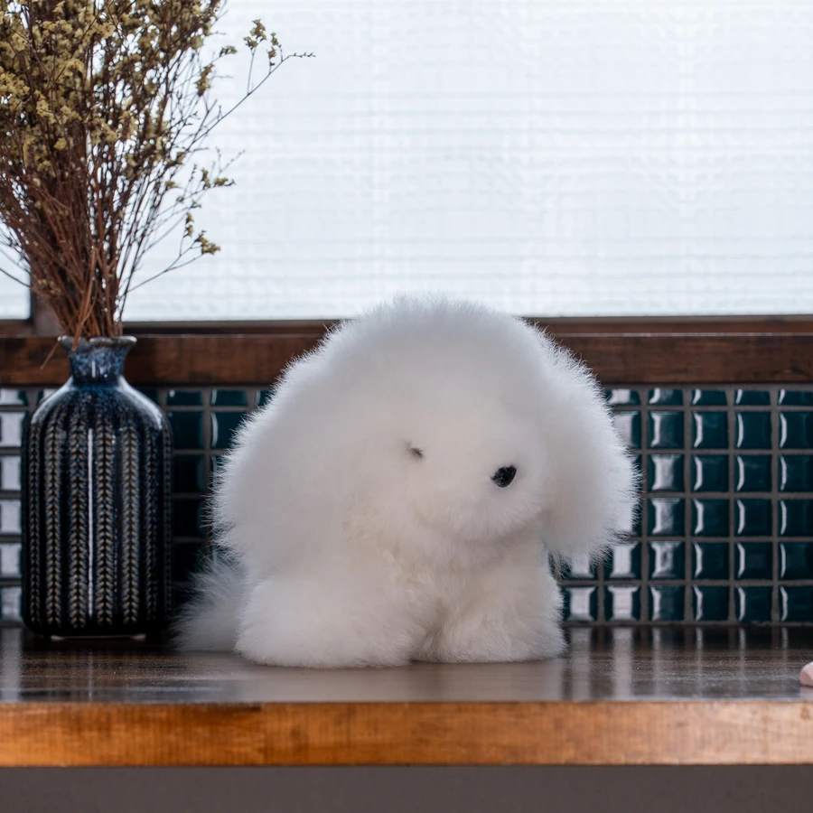 木のカウンターに座る、白い犬のぬいぐるみ。